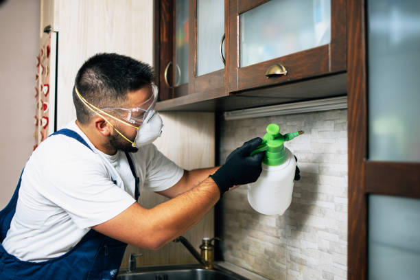 Best Affordable Pest Control Services  in Columbus Grove, OH