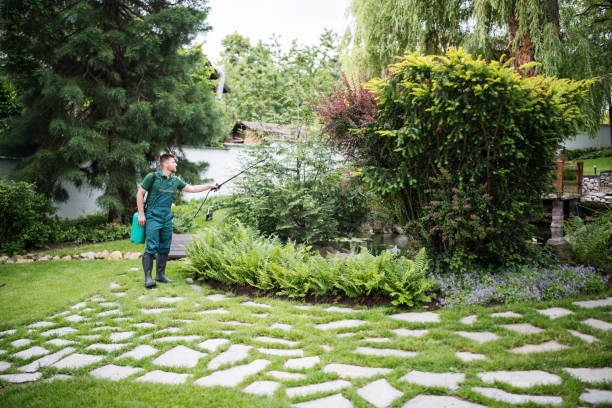  Columbus Grove, OH Pest Control Pros