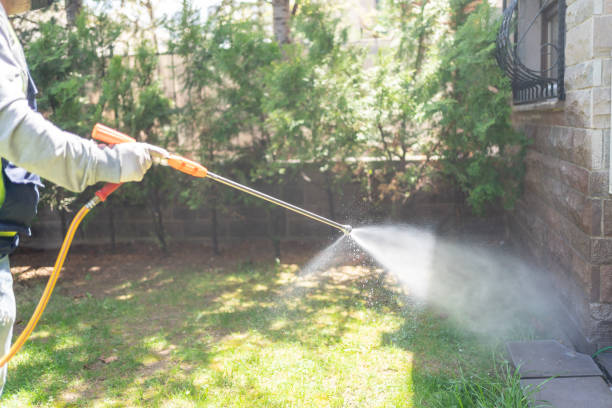 Best Spider Control Near Me  in Columbus Grove, OH