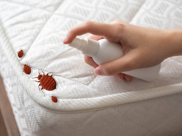 Best Pest Removal Services  in Columbus Grove, OH